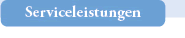 Serviceleisrungen